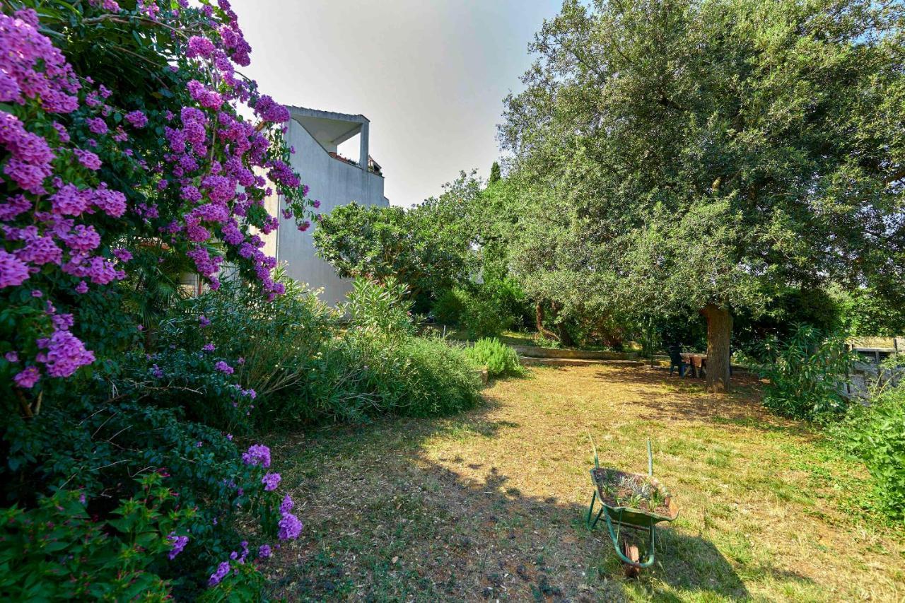 Apartments Davorka Banjole Εξωτερικό φωτογραφία